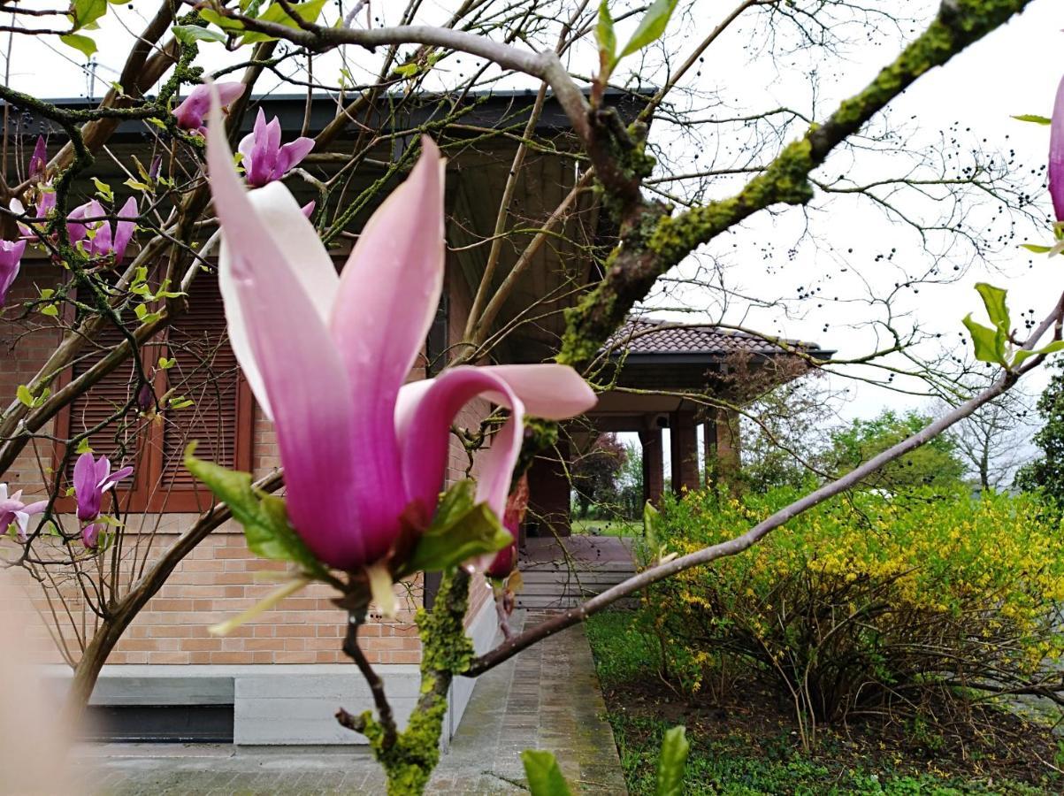 Agriturismo I Quercioli Парма Екстериор снимка